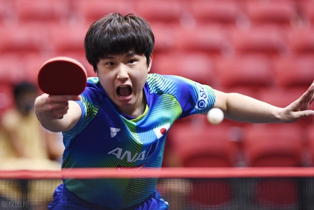 文化对教练 文化对教练