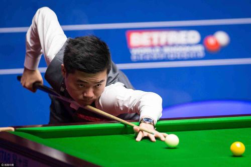 解和高效执 解和高效执